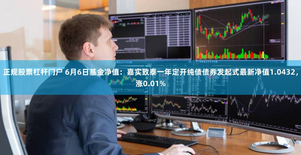 正规股票杠杆门户 6月6日基金净值：嘉实致泰一年定开纯债债券发起式最新净值1.0432，涨0.01%