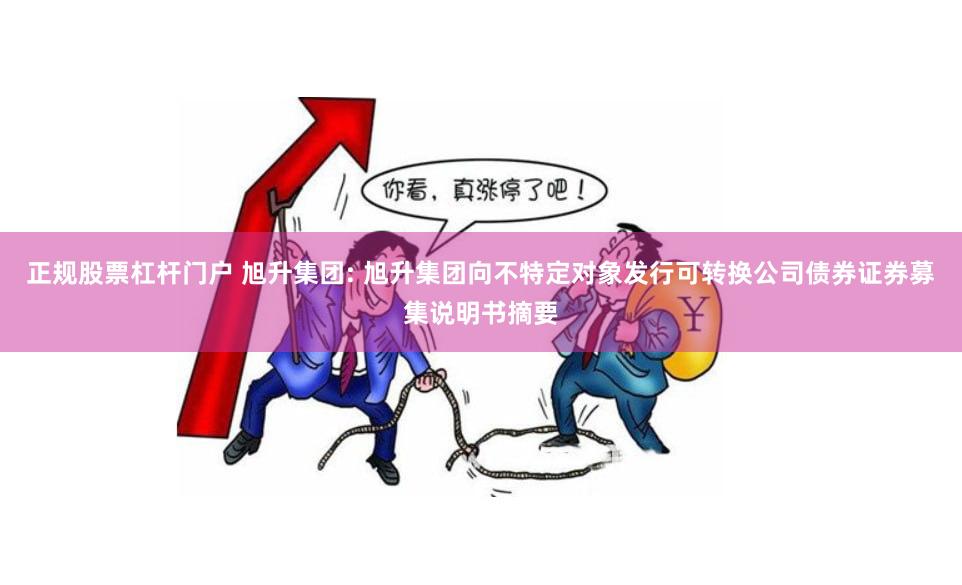 正规股票杠杆门户 旭升集团: 旭升集团向不特定对象发行可转换公司债券证券募集说明书摘要