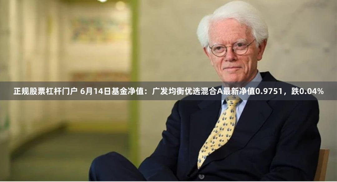 正规股票杠杆门户 6月14日基金净值：广发均衡优选混合A最新净值0.9751，跌0.04%