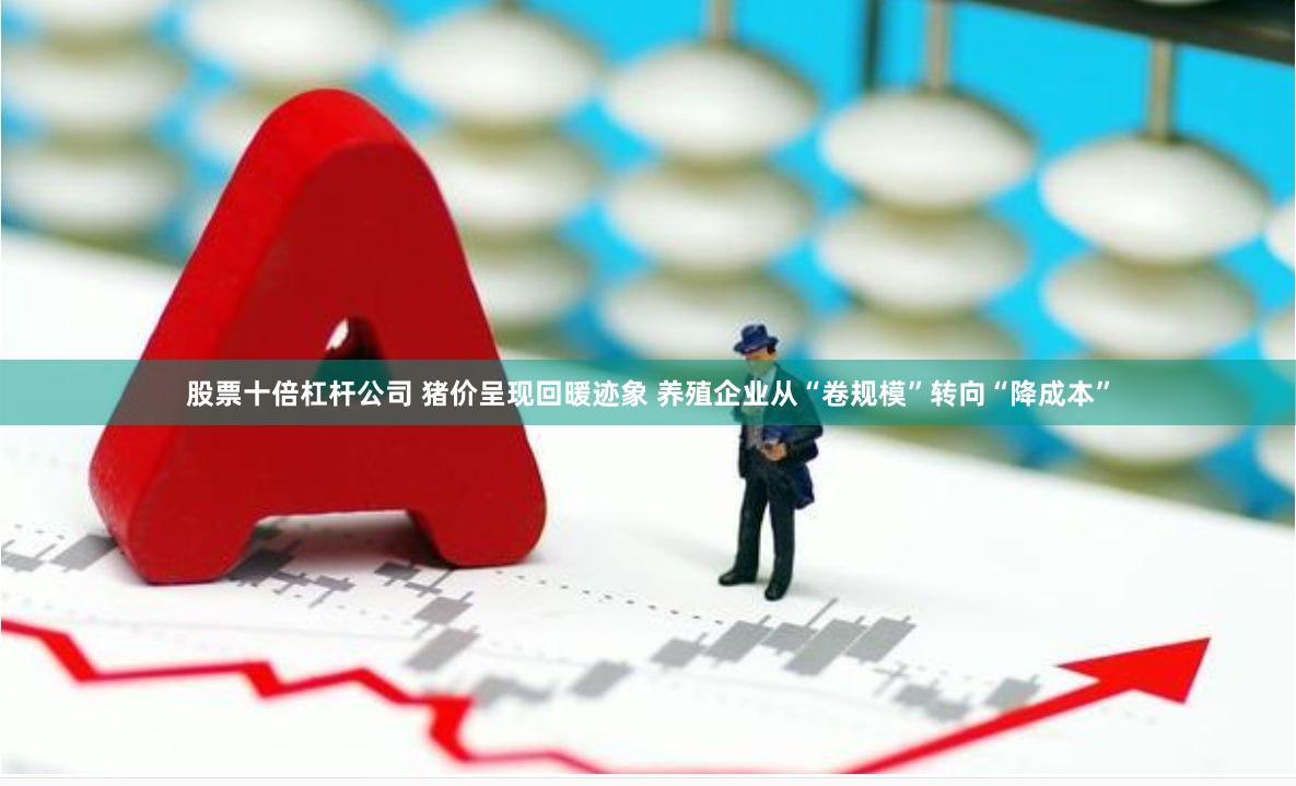 股票十倍杠杆公司 猪价呈现回暖迹象 养殖企业从“卷规模”转向“降成本”