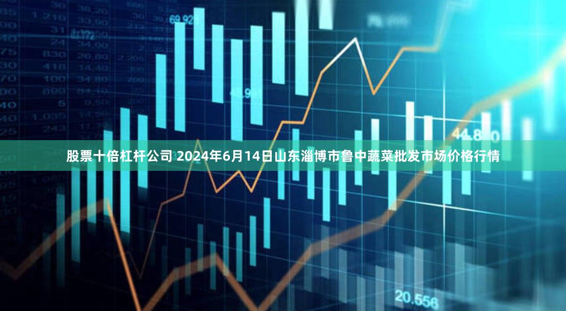 股票十倍杠杆公司 2024年6月14日山东淄博市鲁中蔬菜批发市场价格行情