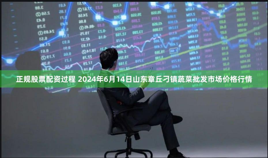 正规股票配资过程 2024年6月14日山东章丘刁镇蔬菜批发市场价格行情