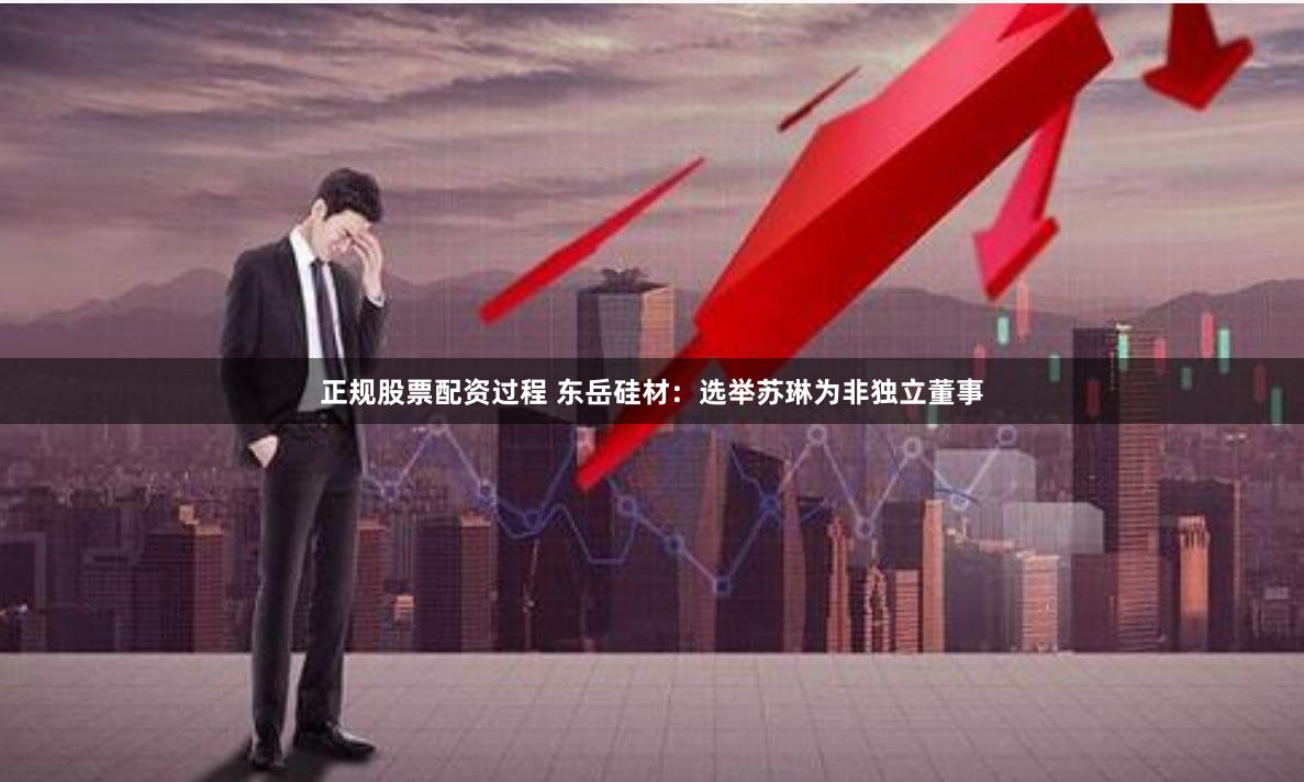 正规股票配资过程 东岳硅材：选举苏琳为非独立董事