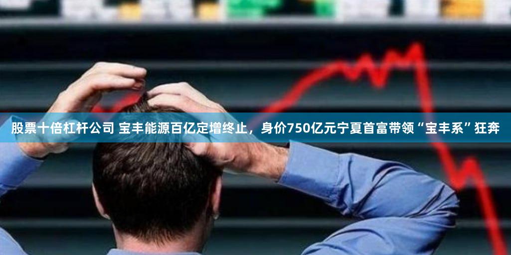 股票十倍杠杆公司 宝丰能源百亿定增终止，身价750亿元宁夏首富带领“宝丰系”狂奔