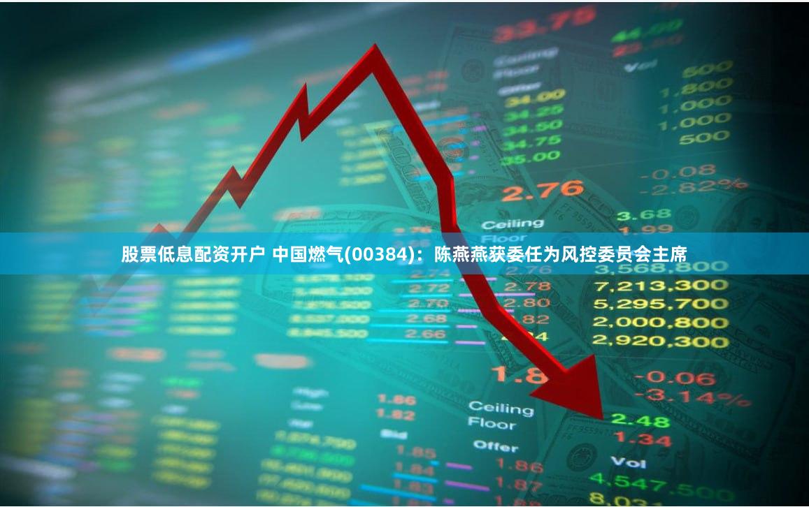 股票低息配资开户 中国燃气(00384)：陈燕燕获委任为风控委员会主席